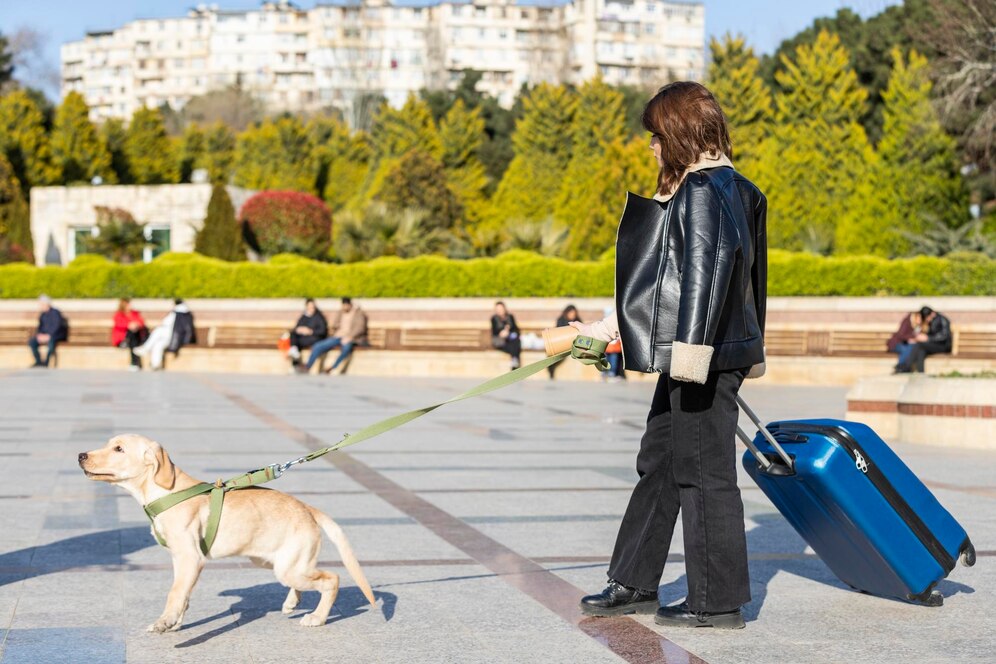 beautiful girl walking park with her dog high quality photo 144627 75705